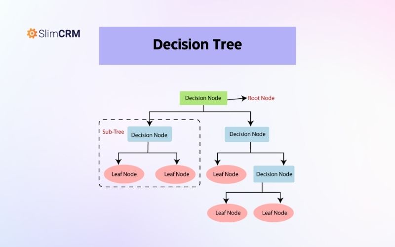 Ví dụ về thuật toán Decision Tree