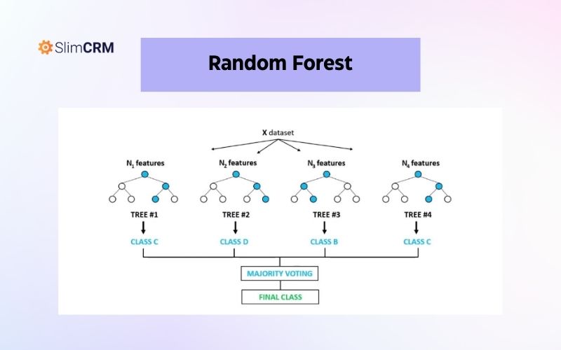 Ví dụ về thuật toán Random Forest