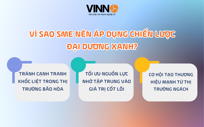 chien-luoc-dai-duong-xanh-la-gi-3
