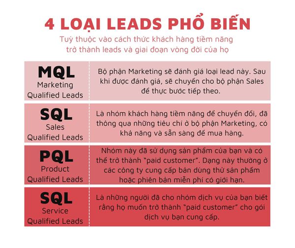 Cách Phân tích và Đánh giá Hiệu quả của Lead