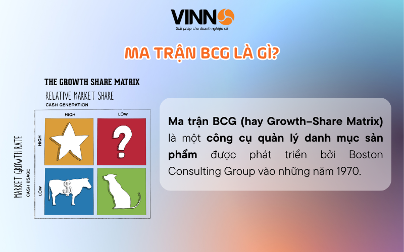 ma-tran-bcg-la-gi-1
